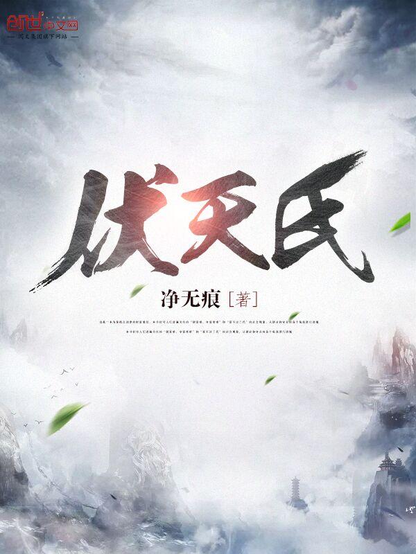翅膀的隐形