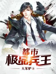 都市极品兵王 大笨驴TXT