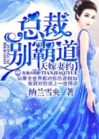 天嫁宠妻