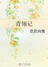 青翎记无删减